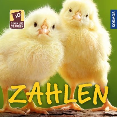 Sehen und Staunen: Zahlen