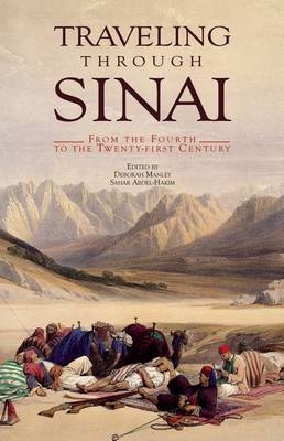 Traveling Through Sinai - 