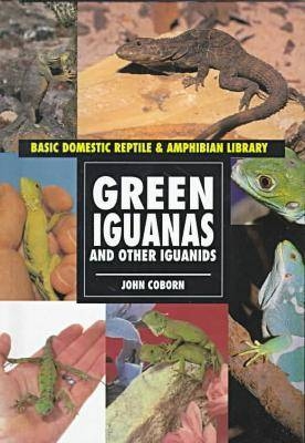 Green Iguanas and Other Iguanids - John Coburn