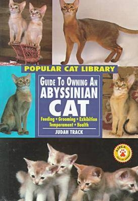 Guide to Owning an Abyssinian Cat - Judah Track