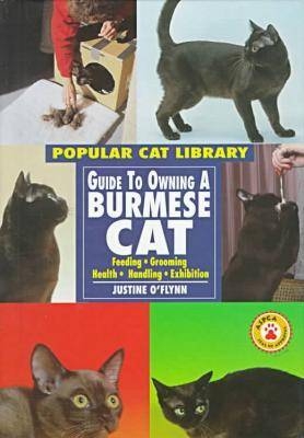 Guide to Owning a Burmese Cat - Justine O'Flynn