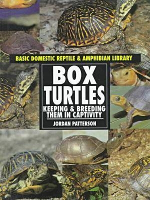 Box Turtles - Jordan Patterson