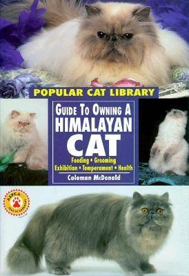 Guide to Owning a Himalayan Cat - Coleman McDonald