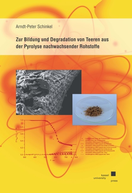 Zur Bildung und Degradation von Teeren aus der Pyrolyse nachwachsender Rohstoffe - Arndt-Peter Schinkel