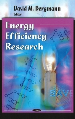 Energy Efficiency Research - David M Bergmann