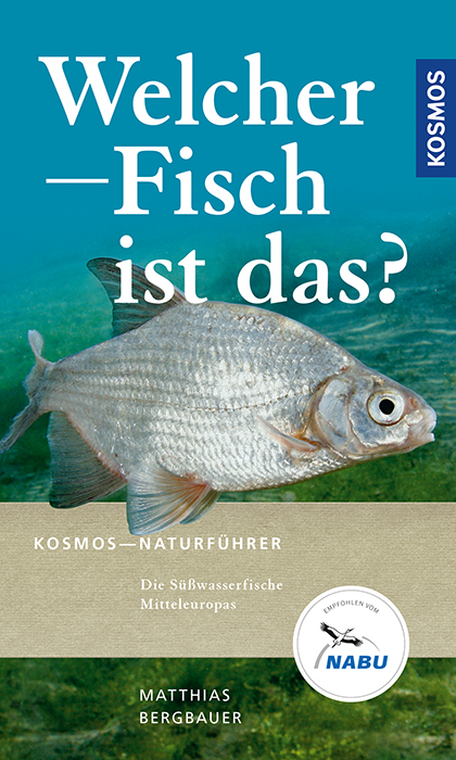 Welcher Fisch ist das? - Matthias Bergbauer