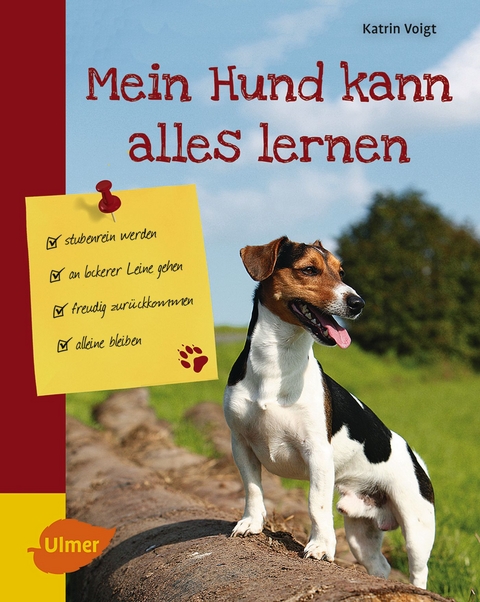 Mein Hund kann alles lernen - Katrin Voigt