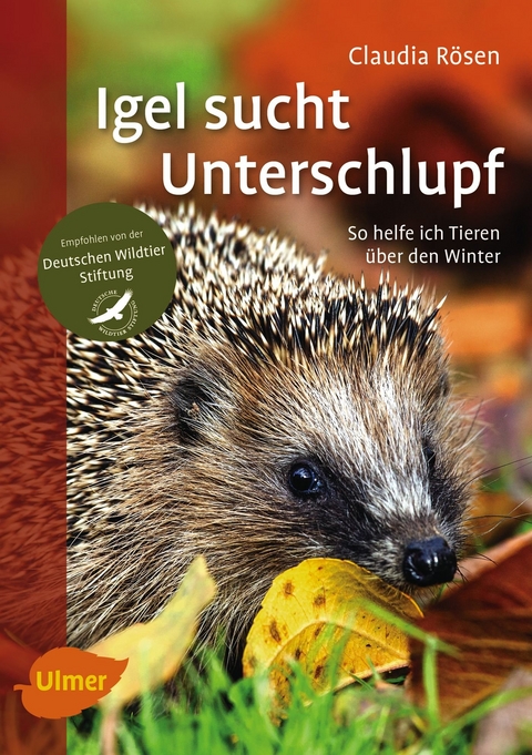 Igel sucht Unterschlupf - Claudia Rösen