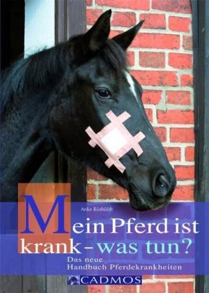 Mein Pferd ist krank - was tun? - Anke Rüsbüldt