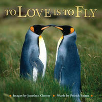 To Love Is to Fly - Jonathan Chester, Patrick Regan