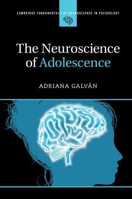Neuroscience of Adolescence -  Adriana Galvan
