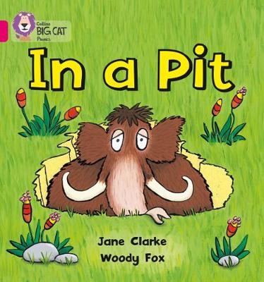 In a Pit - Jane Clarke, Woody Fox