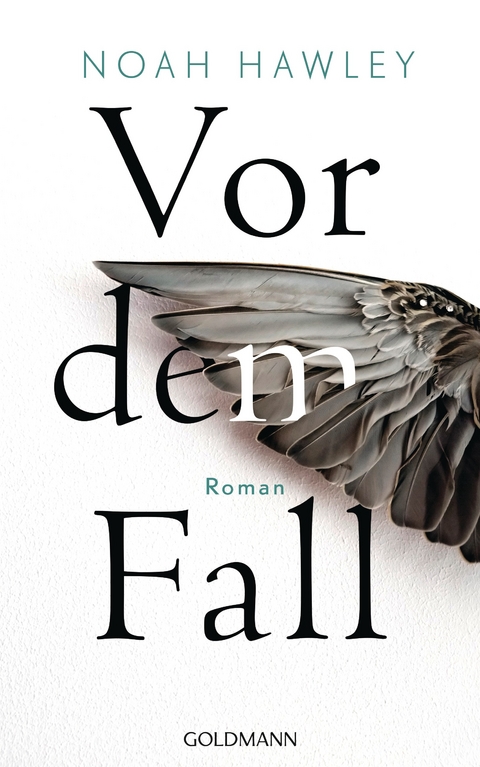 Vor dem Fall - Noah Hawley