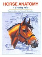 Horse Anatomy - Robert A. Kainer, Thomas O. McCracken