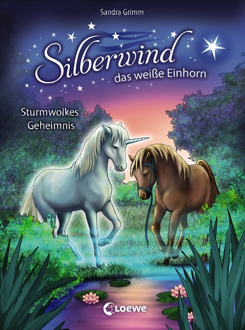 Silberwind, das weiße Einhorn (Band 4) - Sturmwolkes Geheimnis - Sandra Grimm
