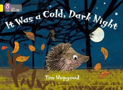 It Was a Cold Dark Night - Tim Hopgood