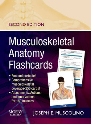 Musculoskeletal Anatomy Flashcards - Joseph E. Muscolino