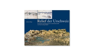 Relief der Urschweiz - Andreas Bürgi