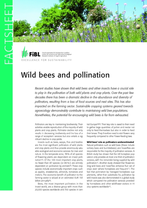 Wild bees and pollination - Lukas Pfiffner, Andreas Müller