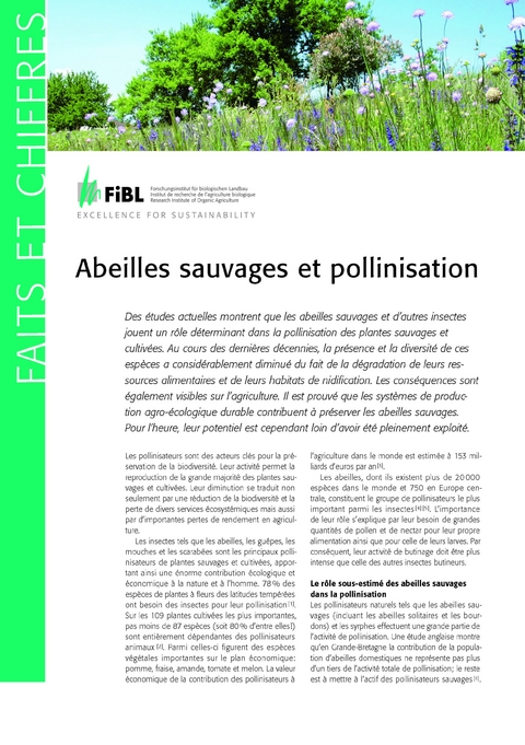 Abeilles sauvages et pollinisation - Lukas Pfiffner, Andreas Müller