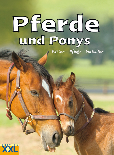 Pferde und Ponys