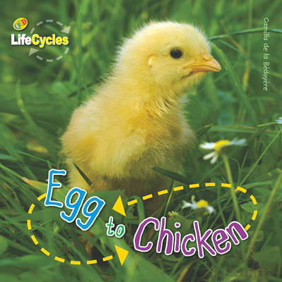 Lifecycles: Egg to Chicken - Camilla de la Bedoyere