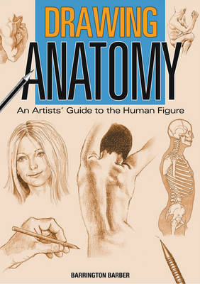 Drawing Anatomy -  Barrington Barber