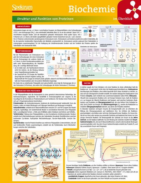 Lerntafel: Biochemie im Überblick