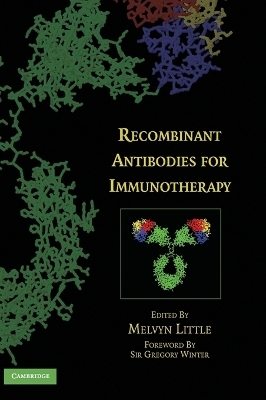 Recombinant Antibodies for Immunotherapy - 