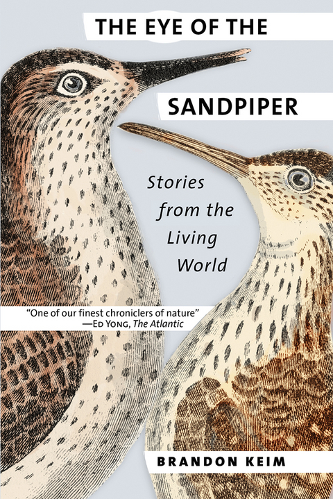 The Eye of the Sandpiper - Brandon Keim