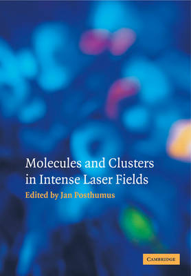 Molecules and Clusters in Intense Laser Fields - 