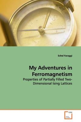 My Adventures in Ferromagnetism - Eshel Faraggi