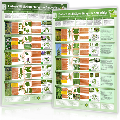 [2er Set] Essbare Wildkräuter für Grüne Smoothies - Erkennungskarten Teil 1&2 (2024), m. 1 Karte, m. 1 Beilage. Tl.1 u. 2 - Alfred Zenz, Samuel Cremer