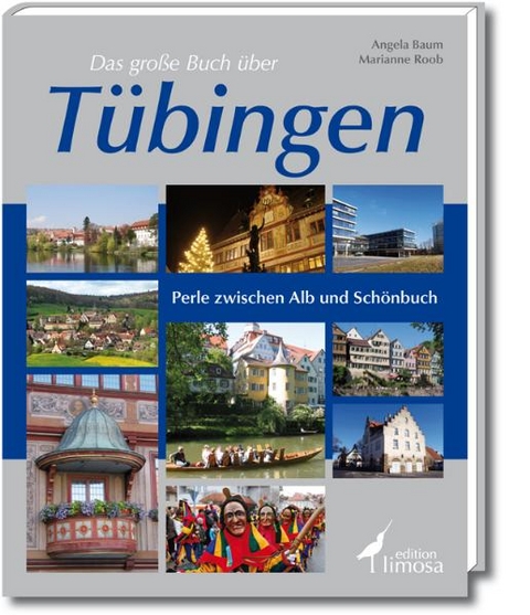 Das große Buch über Tübingen - Angela Baum, Marianne Roob