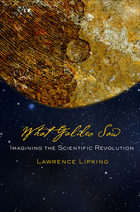 What Galileo Saw - Lawrence Lipking