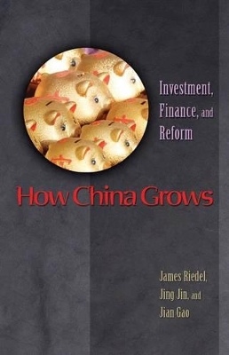 How China Grows - James Riedel, Jing Jin, Jian Gao