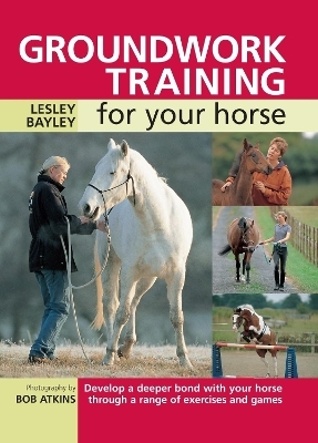 Groundwork Training for Your Horse - Lesley Bayley