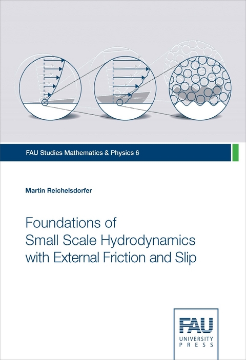 Foundations of Small Scale Hydrodynamics with External Friction and Slip - Martin Reichelsdorfer