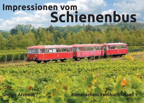 Impressionen vom Schienenbus - Gregor Atzbach