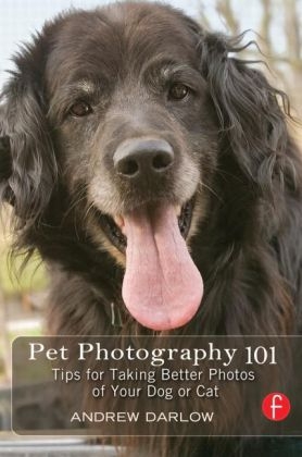 Pet Photography 101 - Andrew Darlow