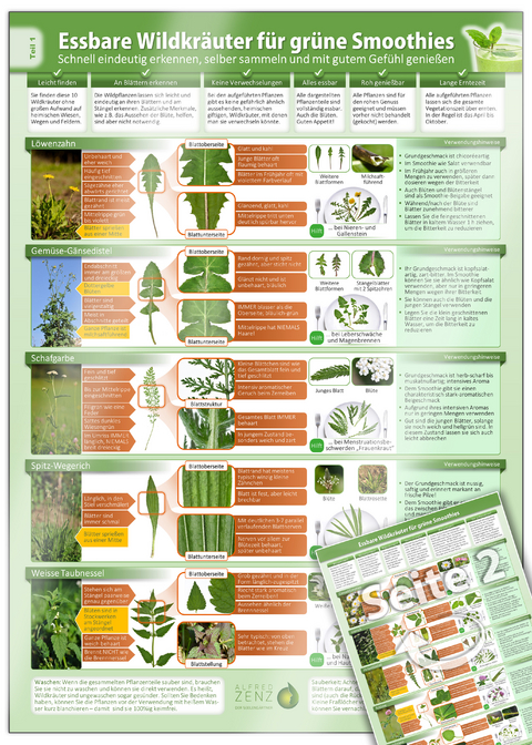 Essbare Wildkräuter für Grüne Smoothies - Erkennungskarte Teil 1 - Natürliche Frische erleben (2024). Tl.1 - Alfred Zenz, Samuel Cremer