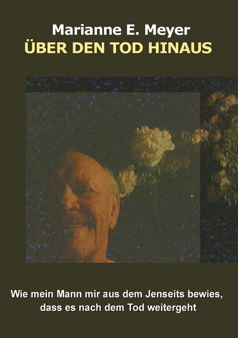 Über den Tod hinaus - Marianne E. Meyer