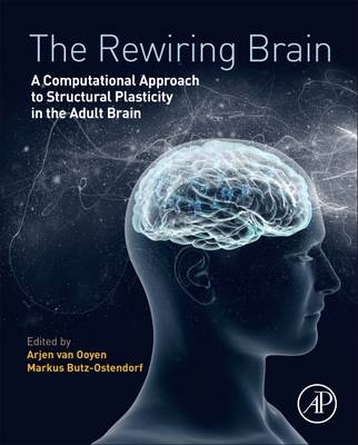 Rewiring Brain - 