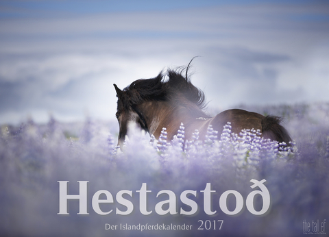 Hestastod 2017