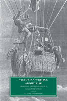 Victorian Writing about Risk - Elaine Freedgood