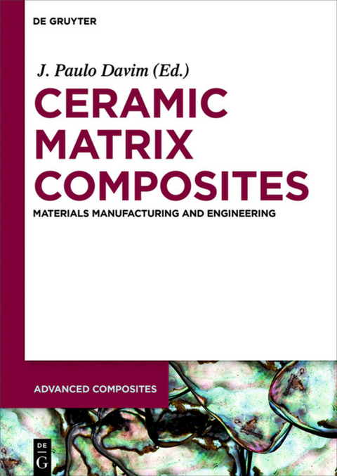 Ceramic Matrix Composites - 