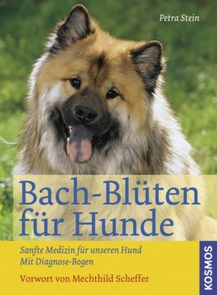 Bach-Blüten für Hunde - Petra Stein
