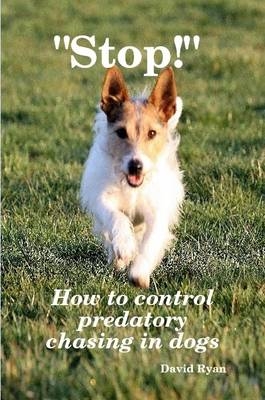 "Stop!" How to control predatory chasing in dogs - David Ryan CCAB
