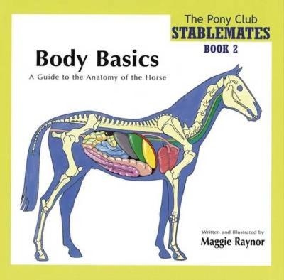 Body Basics - a Guide to the Anatomy of the Horse - Maggie Raynor