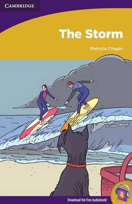 The Storm - Patricia Chapin